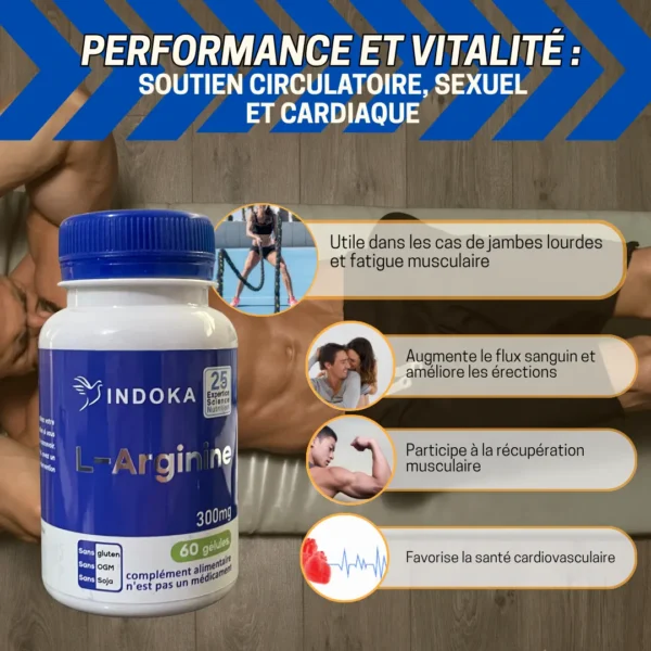 L ARGININE indoka 2